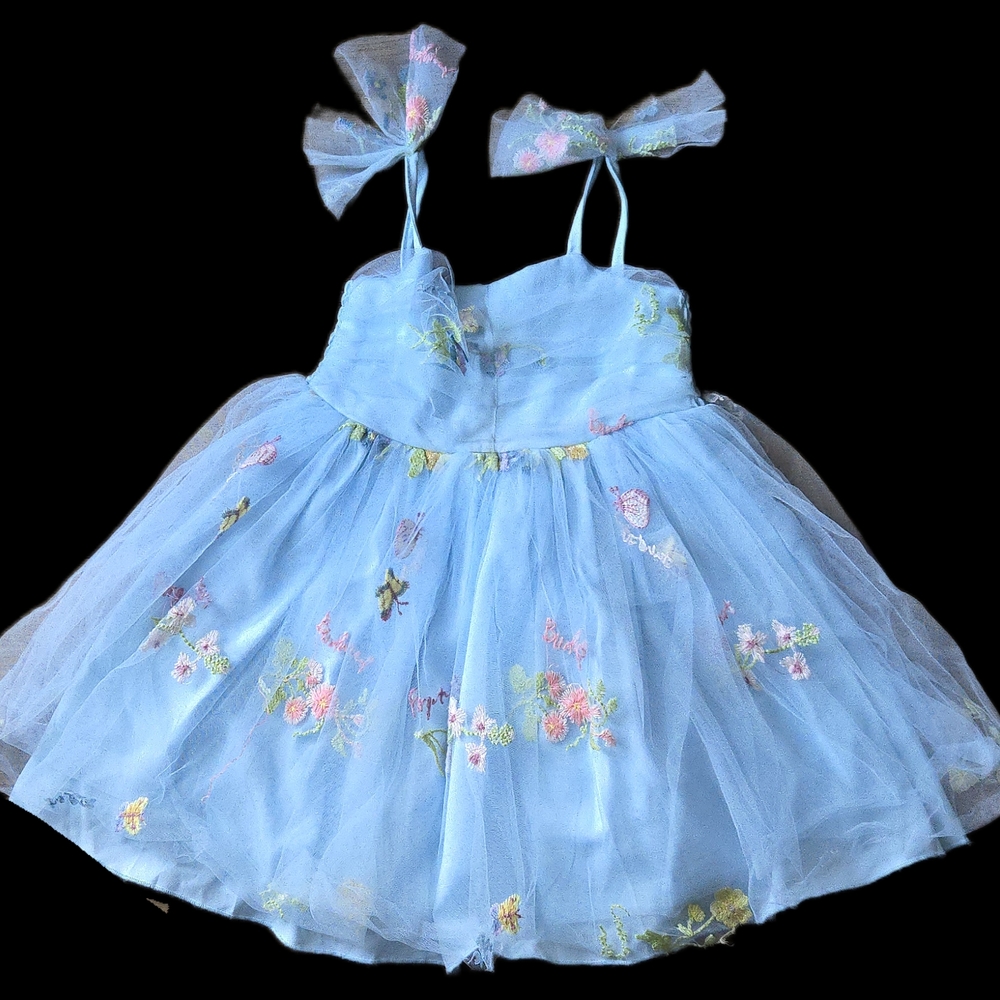 Blue Floral Embroidered Dress